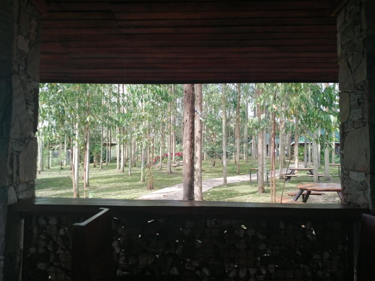 Murchison Backpackers Masindi Exterior foto